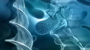 Stem Medica India place picture